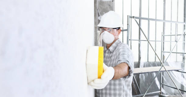 Best Mold Odor Removal Services  in Brookmont, MD