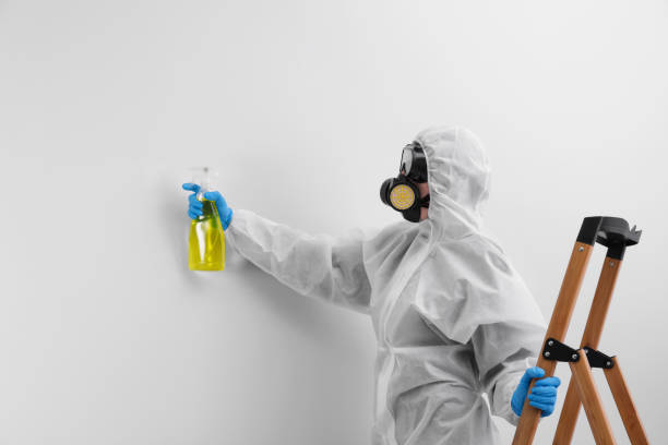 Best Commercial Mold Inspection  in Brookmont, MD